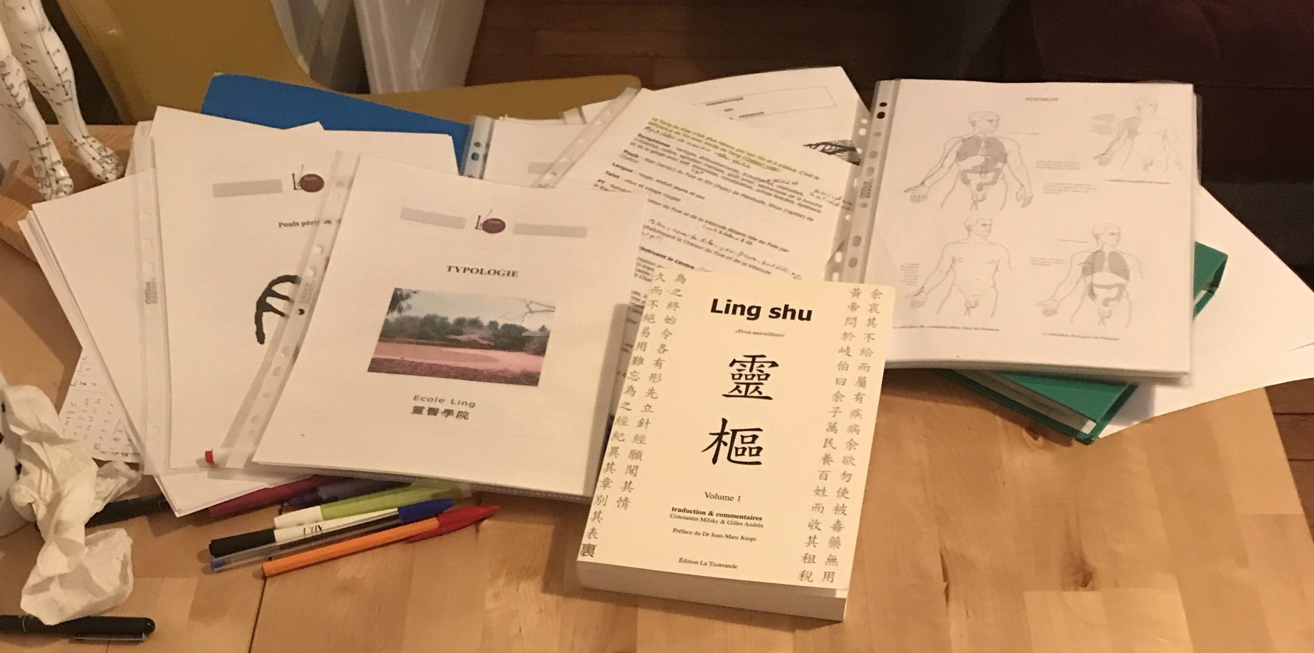 Conseils à mon moi de première année | Ecole Ling
