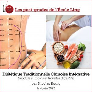 Flyer du post-grade de diététique chinoise intégrative, où l'on voit un ventre, de la nourriture équilibrée