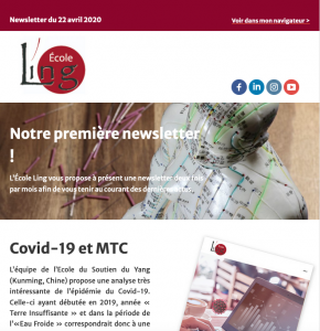 1re newsletter de l'École Ling, vue sur un mannequin d'acupuncture et des aiguilles