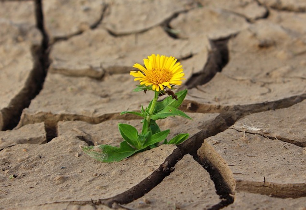 Secheresse-et-5-mouvements