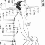 Qu’est ce que les Merveilleux Vaisseaux en Médecine traditionnelle Chinoise ?
