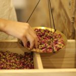 Spécificités de la pharmacopée chinoise