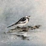 La poésie et le praticien en MTC